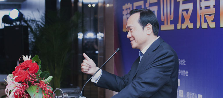 权威团队