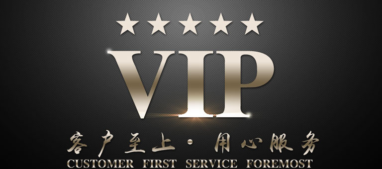一对一VIP服务